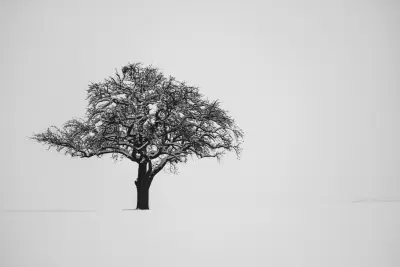 Solitude hivernale