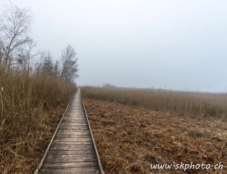 Image à la une pour Liste des réserves naturelles et observatoires